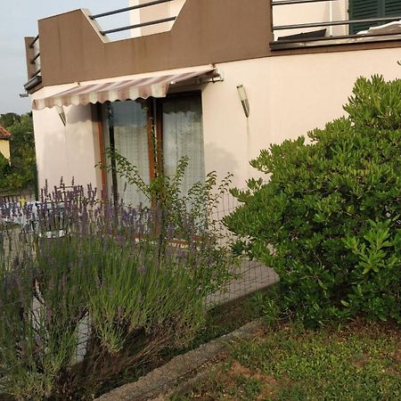 Apartment Lavinia زادار المظهر الخارجي الصورة