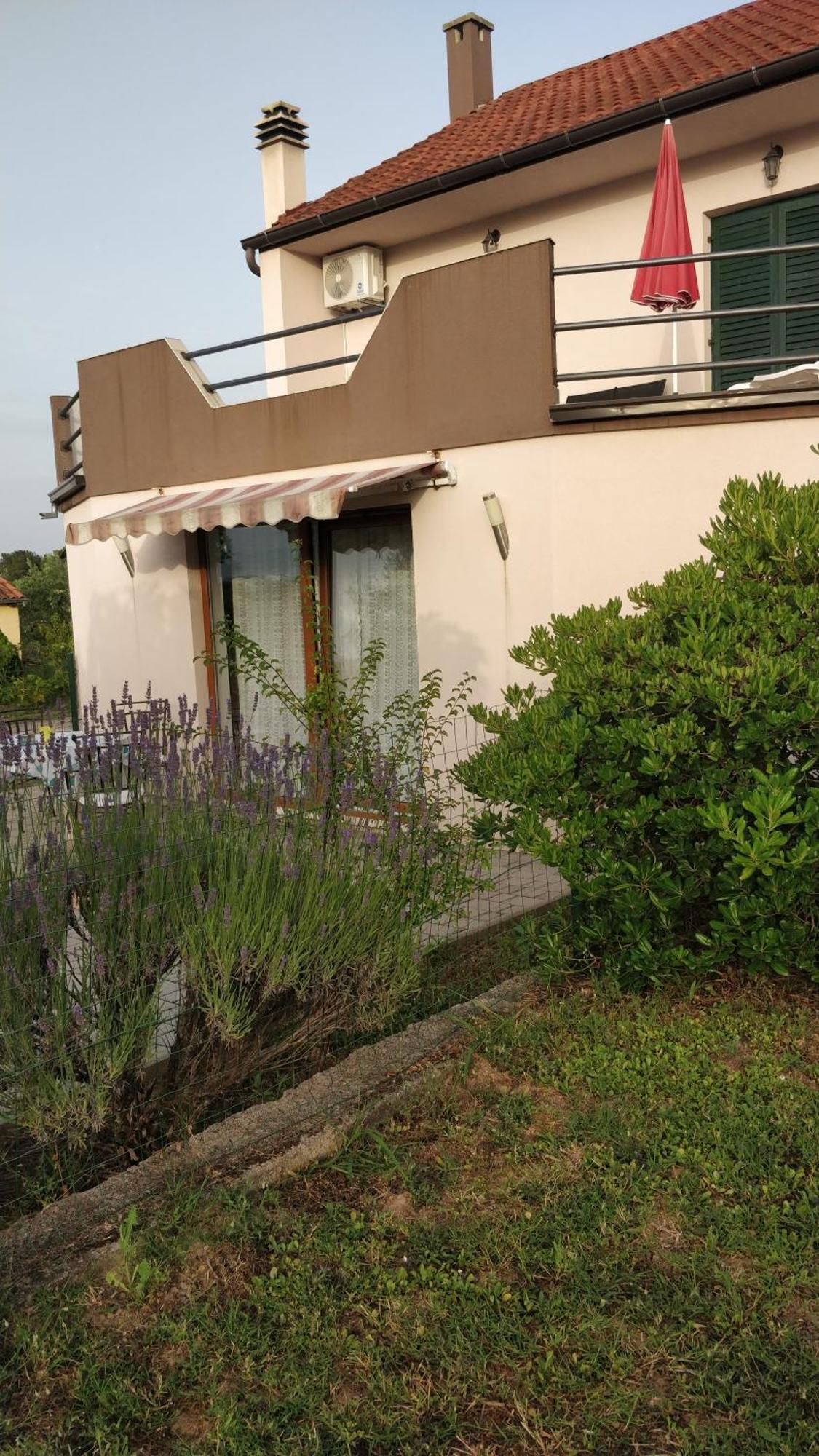 Apartment Lavinia زادار المظهر الخارجي الصورة