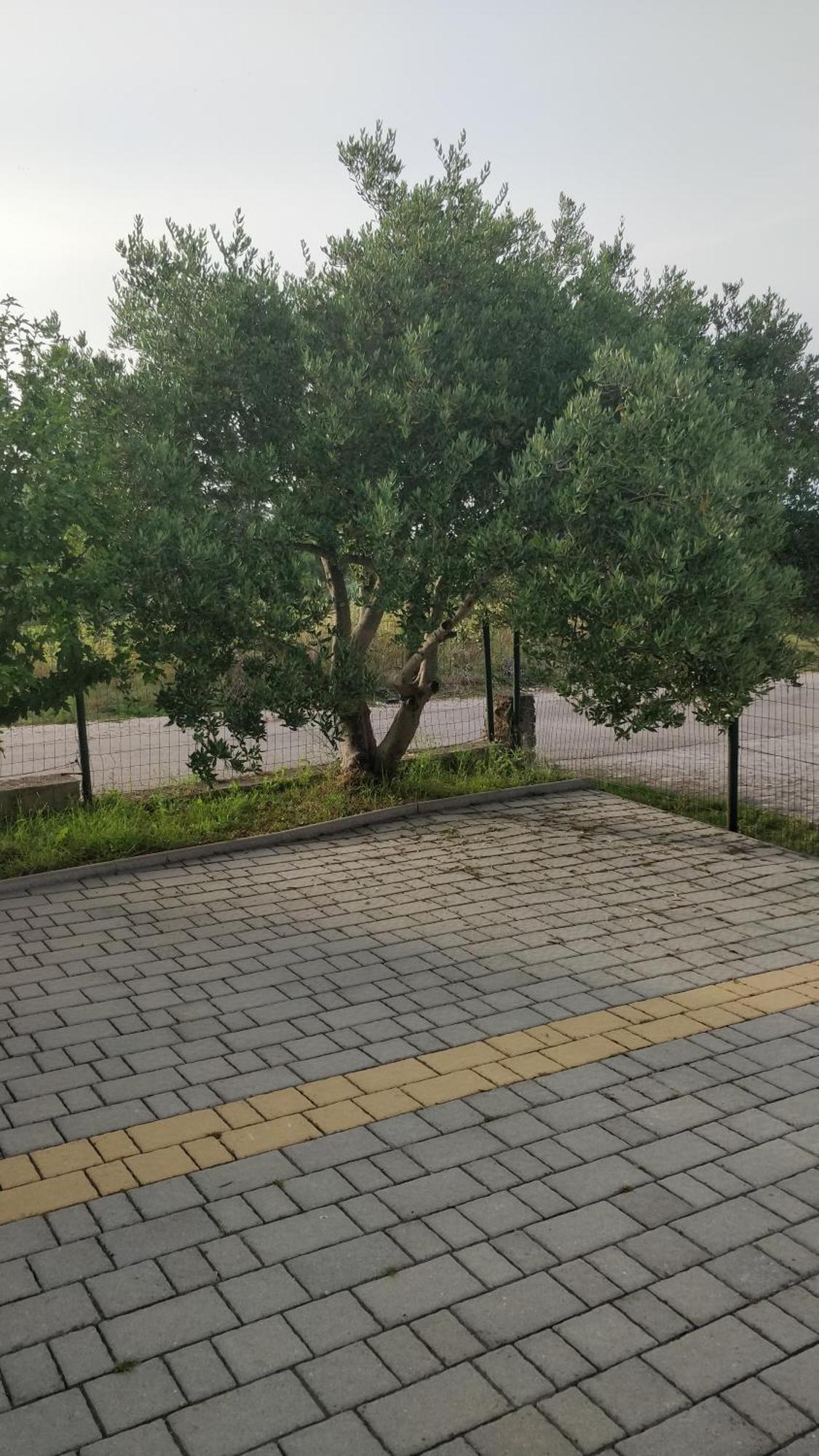 Apartment Lavinia زادار المظهر الخارجي الصورة